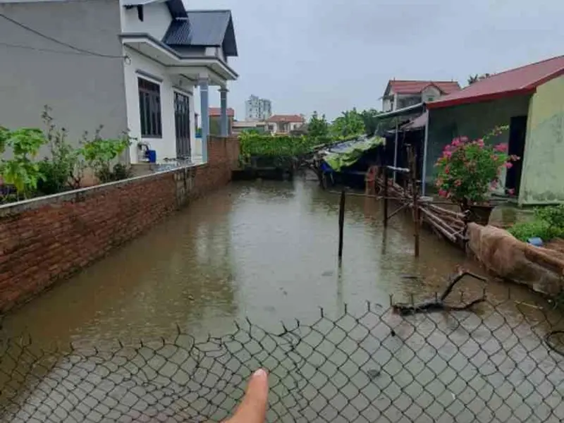 Thửa đất số 411, tờ bản đồ số 35, thôn CD Quán Trạch, Liên Nghĩa, Văn Giang, Hưng Yên... Bán đất tại Văn Giang, Hưng Yên 01
