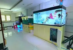 HẺM OTO NGỦ NHÀ, KHU TOÀN NHÀ CAO TẦNG, BIỆT THỰ - 6Tầng-Ngang 6m - Thoại Ngọc Hầu - TÂN PHÚ... Bán nhà riêng tại Tân Phú, Hồ Chí Minh 05