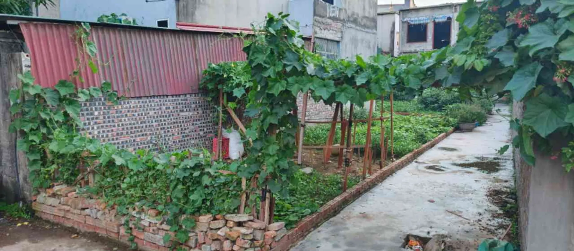 Bán đất nền diện tích 46,2m² tại Phố Giếng, Từ Sơn, mặt tiền rộng 5,7m... Bán đất tại Phù Khê, Bắc Ninh 01
