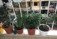 Bán chung cư mini 65m² tại phường Khương Đình, Hà Nội với tiện ích đầy đủ và vị trí thuận lợi... Bán chung cư mini tại Khương Đình, Hà Nội 12