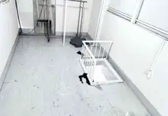 Cơ hội sở hữu nhà riêng 3 tầng tại Phường Vườn Lài giá chỉ 3.49 tỷ... Bán nhà riêng tại Vườn Lài, Hồ Chí Minh 05