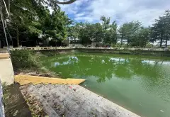 Bán nhà 3 tầng lô góc vị trí đắc địa tặng đất, giá tốt tại Liên Hà... Bán nhà riêng tại Thư Lâm, Hà Nội 04