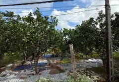 Cơ hội hiếm có sở hữu đất rộng 982m2 tại Duyên Hà Vạn Phúc... Bán owner_side tại Thanh Trì, Hà Nội 02