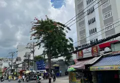BÁN CĂN HỘ DỊCH VỤ 16 PHÒNG—THANG MÁY—NGAY TRƯỜNG ĐẠI HỌC HÙNG VƯƠNG—KẾ BÊN DƯƠNG QUẢNG HÀM—HẺM OTO... Bán nhà riêng tại An Nhơn, Hồ Chí Minh 13