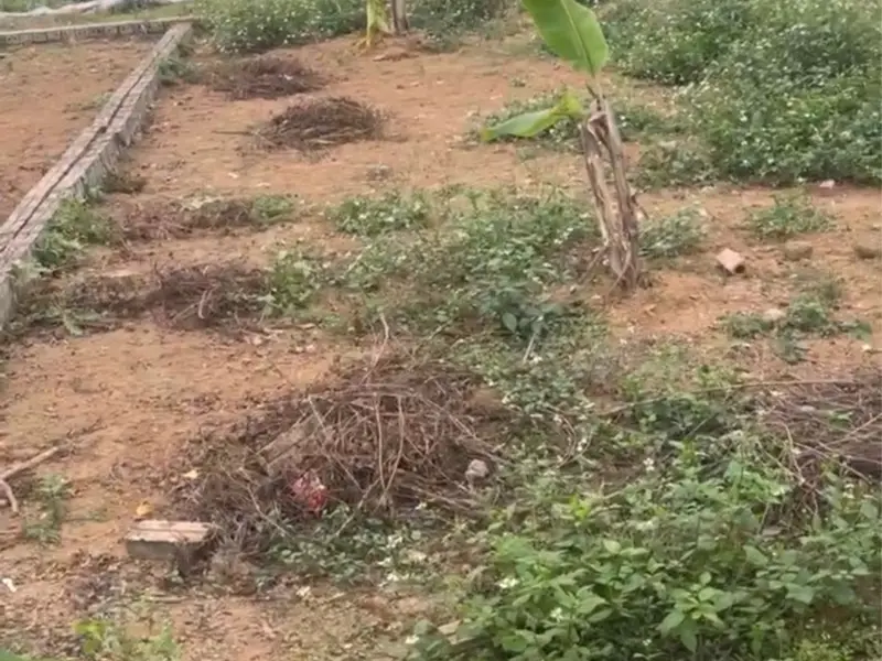 BDS căn nhà MẶT HỒ... Bán đất tại Thạch Thất, Hà Nội 01