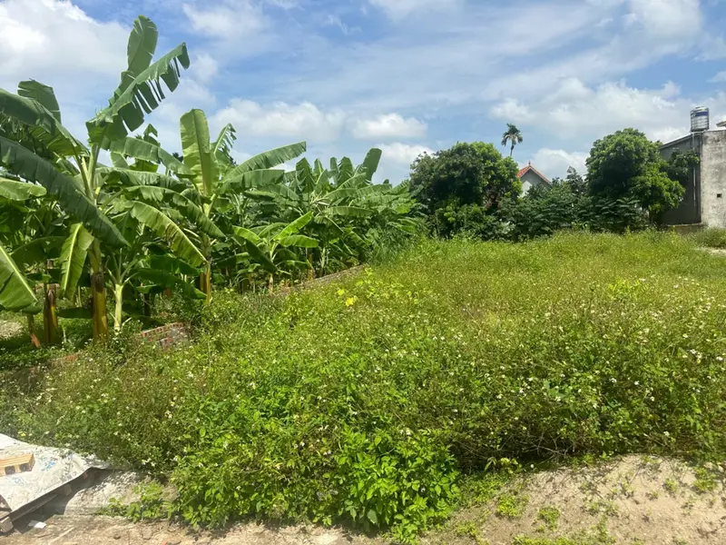 Đất Phân Lô Ô Tô Vào Đất Tại Phù Lưu Ninh Sơn... Bán đất tại Thủy Nguyên, Hải Phòng 01