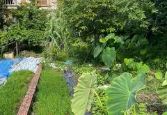 Bán đất trung tâm phường Trí Quả, diện tích 56m², vị trí thuận tiện... Bán đất tại Trí Quả, Bắc Ninh 01