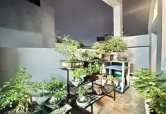 Cơ hội vàng sở hữu nhà 4 tầng tại Tân Sơn Nhì giá chỉ 7.6 tỷ... Bán nhà riêng tại Tân Sơn Nhì, Hồ Chí Minh 12