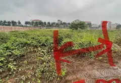Đất phân lô hiếm có ngay trung tâm, giá tốt!... Bán đất tại Song Liễu, Bắc Ninh 03