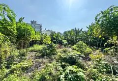 CƠ HỘI SỞ HỮU 1100m2 THỔ CƯ - CHỦ GIẢM CỰC MẠNH 15TỶ CHƯA TỚI 50TR/m2 HXH THÔNG QUẬN 12 sát TÔ KÝ... Bán nhà riêng tại Trung Mỹ Tây, Hồ Chí Minh 04