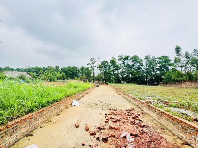 BÁN ĐẤT THỔ CƯ SÓC SƠN - MẶT TIỀN RỘNG, Ô TÔ TRÁNH NHAU - GIÁ CHỈ 1.03 TỶ... Bán đất tại Trung Giã, Hà Nội 01