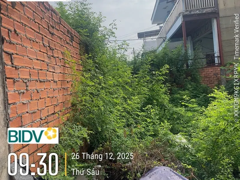 Bán đất 390m2 tại phường Tân Tạo, Hồ Chí Minh giá 18.5 tỷ... Bán đất tại Tân Tạo, Hồ Chí Minh 01