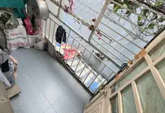 Nhà nhỏ Nhiêu Tứ, Phú Nhuận gần kề phố ẩm thực Phan Xích Long... Bán nhà riêng tại Cầu Kiệu, Hồ Chí Minh 05