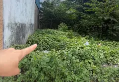 Bán đất mặt phố Nguyễn Ảnh Thủ, Hóc Môn diện tích 160m2, mặt tiền 8m... Bán nhà mặt phố tại Bà Điểm, Hồ Chí Minh 06