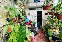 Nhà mặt phố Quận 10, đối diện công viên, giá 11 tỷ... Bán nhà mặt phố tại Hòa Hưng, Hồ Chí Minh 08