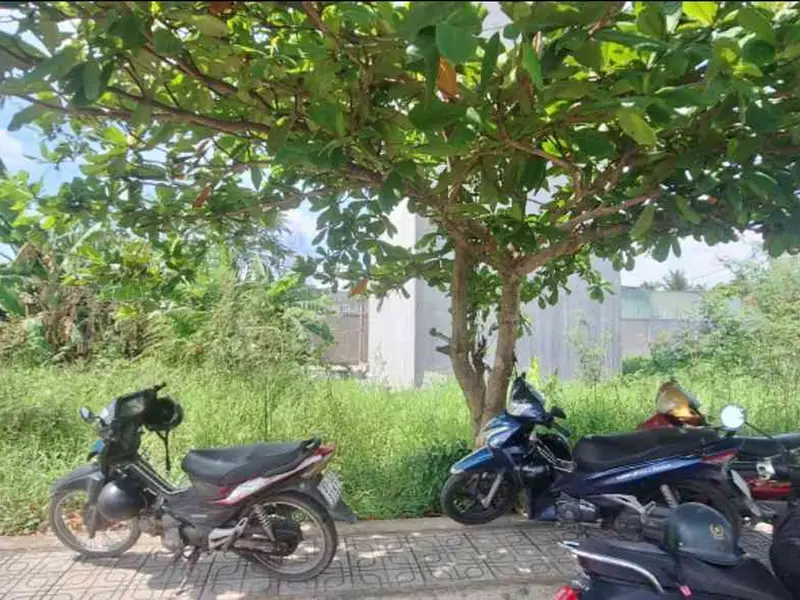 Bán đất 50m² phường Long Phước giá 2,5 tỷ chính chủ... Bán đất tại Long Phước, Hồ Chí Minh 01