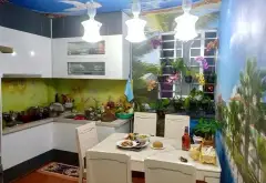 Nhà Mặt Phố Bàu Cát - Vừa Ở Vừa Kinh Doanh Tốt... Bán nhà mặt phố tại Tân Bình, Hồ Chí Minh 11