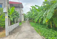 Cơ Hội Vàng Sở Hữu Đất Vàng Tại Hưng Yên - Chỉ 1,55 Tỷ!... Bán đất tại Chí Minh, Hưng Yên 06