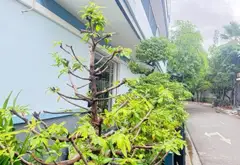 Bán căn góc 4 tầng phường Phú Thuận Quận 7 Hồ Chí Minh mặt tiền rộng 4m... Bán nhà riêng tại Phú Thuận, Hồ Chí Minh 07