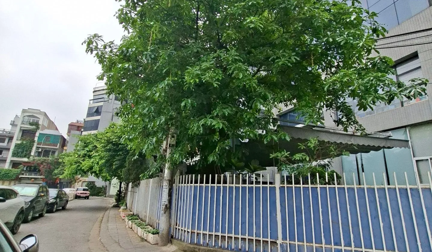 Tòa Nhà Văn Phòng Hạng Sang Tại Trung Tâm Lõi Long Biên... Bán văn phòng tại Bồ Đề, Hà Nội 01