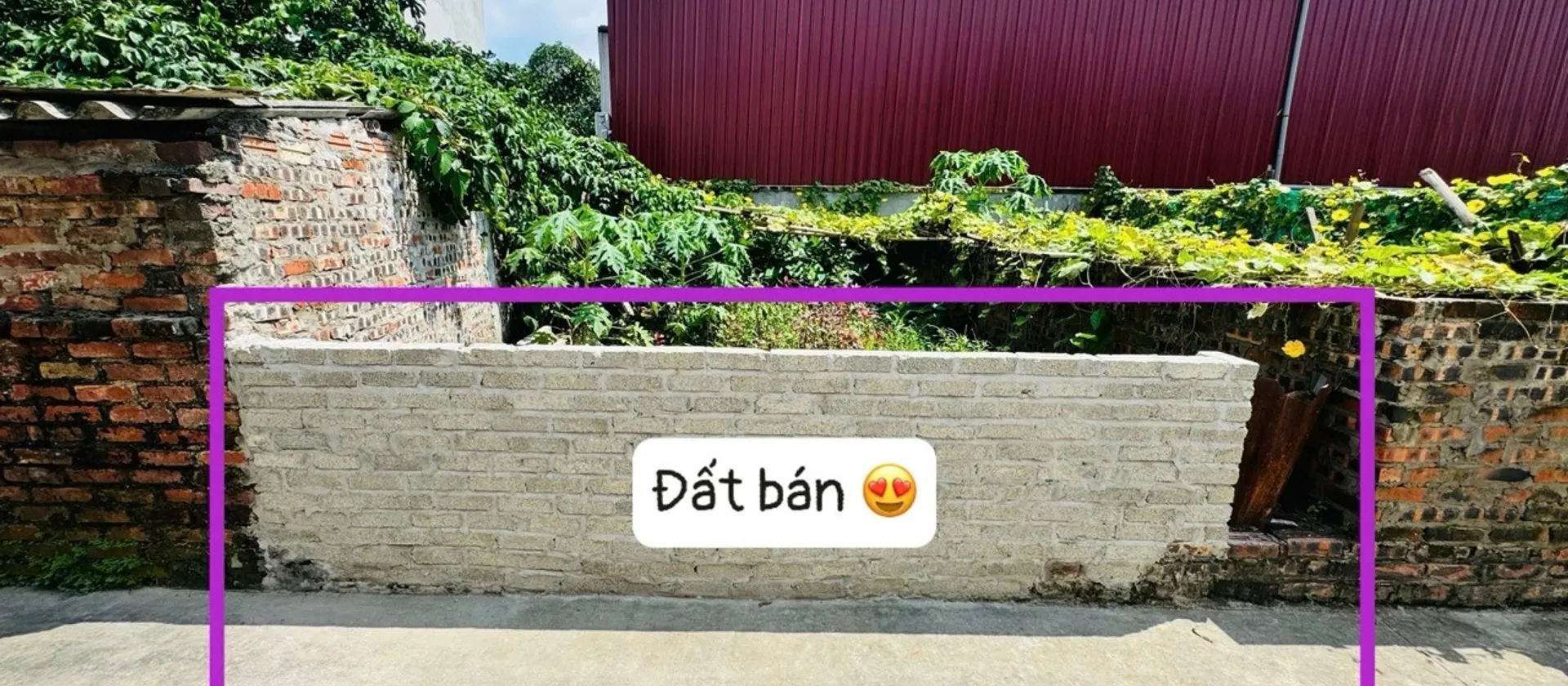 Bán đất 41m2 mặt tiền 4m xã Nguyên Khê giá tốt... Bán đất tại Phúc Thịnh, Hà Nội 01