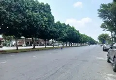 Bán nhà mặt phố 4 tầng diện tích 84m2 tại Bình Tân... Bán nhà mặt phố tại An Lạc, Hồ Chí Minh 07