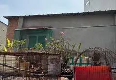 Bán nhà mặt phố Bông Sao, Quận 8, 142.4m2, mặt tiền 4m, giá 12.9 tỷ... Bán nhà mặt phố tại Bình Đông, Hồ Chí Minh 04