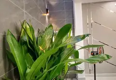 🔥 NHÀ 5 TẦNG THẠNH XUÂN 24 – 56M² – NGANG 4.5M – 7.6 TỶ 🔥
🏡 Diện tích 4.5 x 13m, công nhận 56m²,... Bán owner_side tại Thới An, Hồ Chí Minh 10