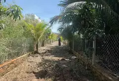 Bán đất 200m2 tại Phường Long Phước, Quận 9, TP HCM giá 4.49 tỷ... Bán đất tại Long Phước, Hồ Chí Minh 01