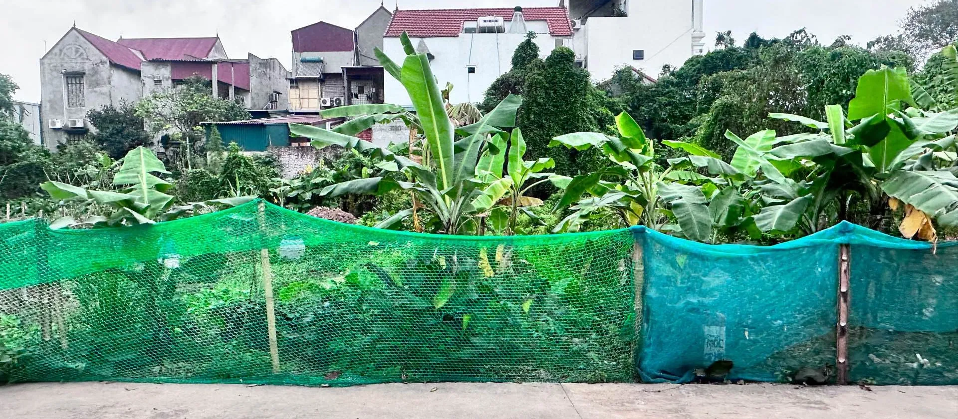 Đất Đẹp Sát Sườn Thông Thẳng Sang Vin,Cách Vin 2,3 100m-200m2- MT 9.5m -Ngõ 3 Ô Tô Tránh- Nhỉnh 15... Bán đất tại Văn Giang, Hưng Yên 01