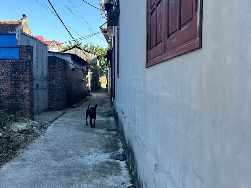 Bán đất phân lô xã Văn Môn, Bắc Ninh, diện tích 73.6m², giá 1.7 tỷ... Bán đất tại Văn Môn, Bắc Ninh 01