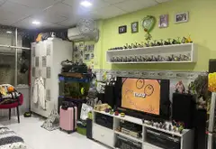 Bán nhà mặt phố Quận 5 diện tích lớn 222m² mặt tiền 5.6m vị trí kinh doanh đắc địa... Bán nhà mặt phố tại Chợ Quán, Hồ Chí Minh 03
