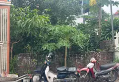 Lô Góc 2 Mặt Tiền Xuân Lễ -Tân Dân - Sóc Sơn cũ nay là Thôn Xuân Sơn - Xã Kim Anh... Bán đất tại Kim Anh, Hà Nội 08