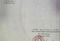 Bán nhà riêng 4 tầng tại Phường An Hội Tây, TP Hồ Chí Minh, diện tích 56m², 5 phòng ngủ... Bán nhà riêng tại An Hội Tây, Hồ Chí Minh 05