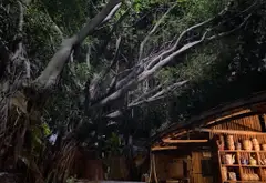 Nhà mặt phố đắt giá giữa trung tâm Gò Vấp với không gian rộng mở và tiềm năng đầu tư đỉnh cao... Bán nhà mặt phố tại An Hội Đông, Hồ Chí Minh 11