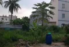 🌻CẦN BÁN GẤP
👉HẺM XE HƠI... Bán đất tại An Phú Đông, Hồ Chí Minh 06