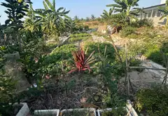Đất mặt đường Bùi Phổ lô góc 3 mặt thoáng, vị trí kinh doanh đắc địa... Bán đất tại Dương Kinh, Hải Phòng 07