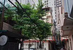 Mảnh đất VÀNG KHƯƠNG TRUNG 37m mặt tiền rộng PHÂN LÔ Ô TÔ TRÁNH - VÀO NHÀ
BÃI Ô TÔ GẦN NHÀ 11.8 tỷ... Bán đất tại Thanh Xuân, Hà Nội 06