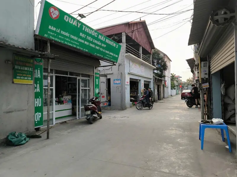 Bán đất mặt tiền tại xã Đông Lai, diện tích 100m2, pháp lý minh bạch... Bán đất tại Sóc Sơn, Hà Nội 01