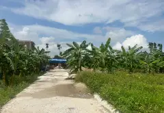 Đất phân lô ô tô tránh tại Phù Lưu, Ninh Sơn, Thuỷ Nguyên... Bán đất tại Thủy Nguyên, Hải Phòng 02