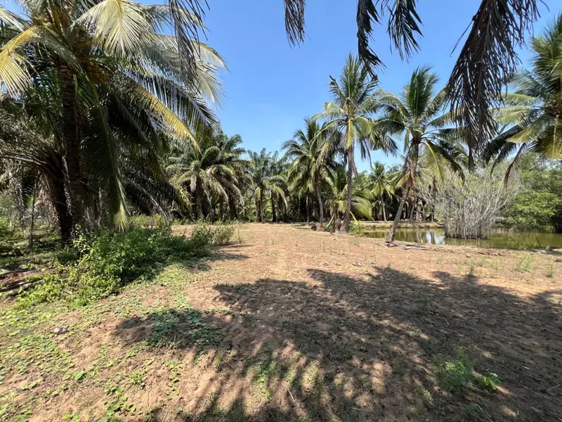 Bán đất 26.462m2 mặt tiền 270m khu Long Phước Quận 9... Bán đất tại Long Phước, Hồ Chí Minh 01