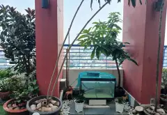Penthouse sang trọng view toàn thành phố, sân vườn trên cao rộng rãi... Bán căn hộ chung cư tại Đông Hưng Thuận, Hồ Chí Minh 08