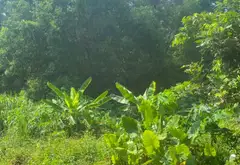🔥 BÁN ĐẤT SƠN ĐÔNG – NAM SƠN – BẮC NINH... Bán đất tại Nam Sơn, Bắc Ninh 02