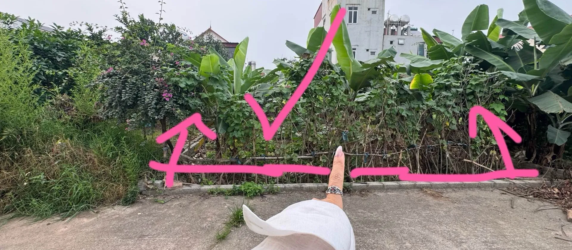Đất thổ cư 125m2 ô tô vào nhà, vị trí vàng Văn Giang... Bán đất tại Văn Giang, Hưng Yên 01