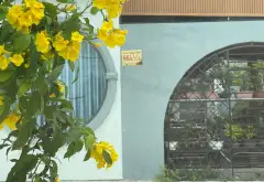 Đất mặt tiền Thanh Xuân Long Hải giá trị vàng - chỉ cách biển 80m, cơ hội không thể bỏ lỡ... Bán đất tại Long Hải, Hồ Chí Minh 13