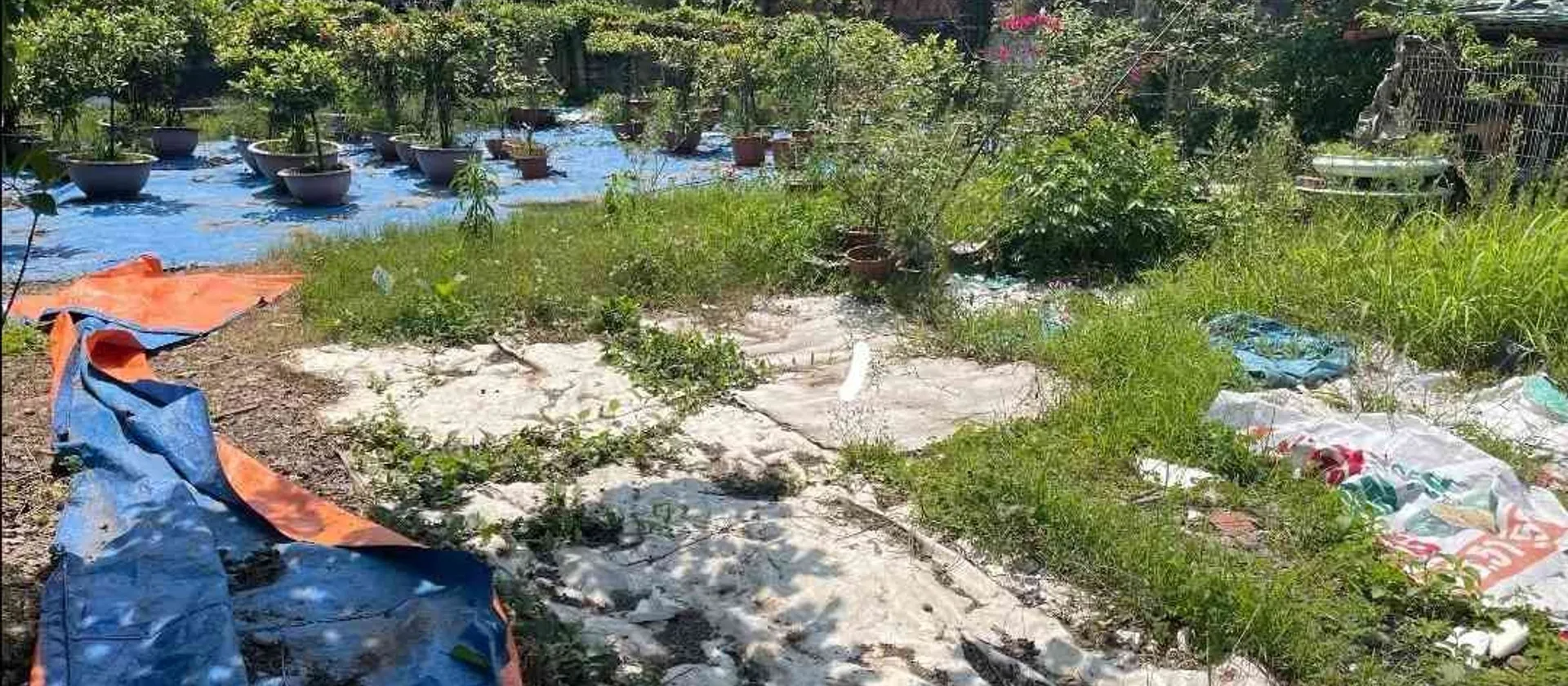 Lô đất hiếm tại Thôn 3 Thiên Hương – Cơ hội vàng cho nhà đầu tư và xây dựng kinh doanh... Bán đất tại Thiên Hương, Hải Phòng 01