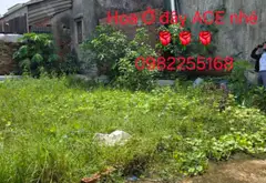 Đất phúc tinh tam sơn từ sơn... Bán đất tại Tam Sơn, Bắc Ninh 10