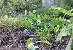Đất Đẹp Đầu Đường Hòa Bình, Giá Đầu Tư Hấp Dẫn... Bán đất tại Yên Nghĩa, Hà Nội 05