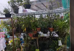 NHÀ ĐẸP 3 TẦNG - 40 m2 - 3PN - CÁCH 100 M RA BÙI VĂN BA - GIÁ HƠN 4Đ... Bán nhà riêng tại Phú Thuận, Hồ Chí Minh 06