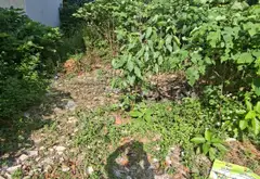 Đất Thổ Cư Sóc Sơn - Cơ Hội Định Hình Tổ Ấm Đẳng Cấp... Bán đất tại Sóc Sơn, Hà Nội 04